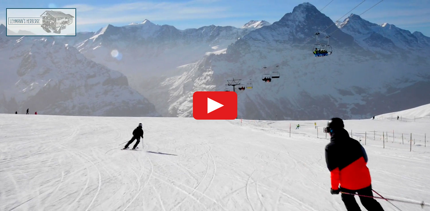 Video - Vimeo - Winter Paradise